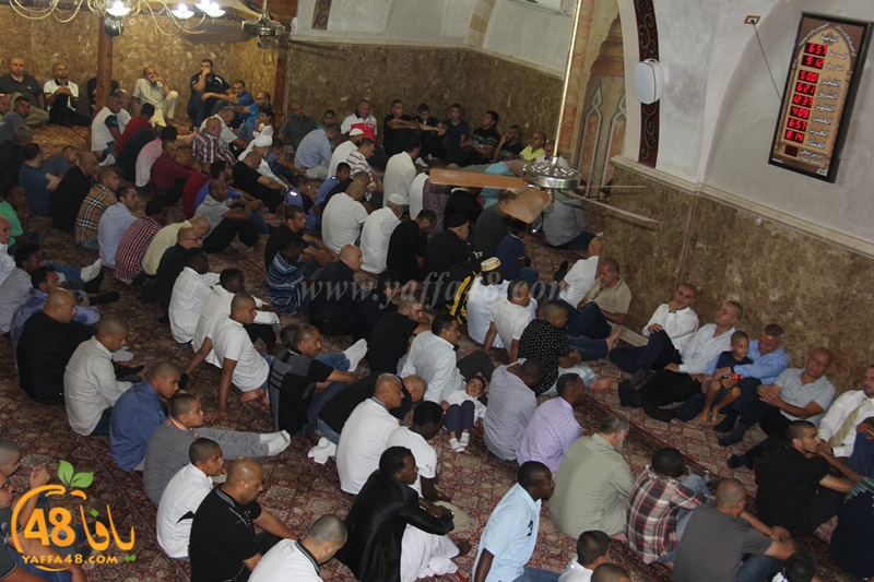 3ed ad7a mahmoudaia (12).JPG